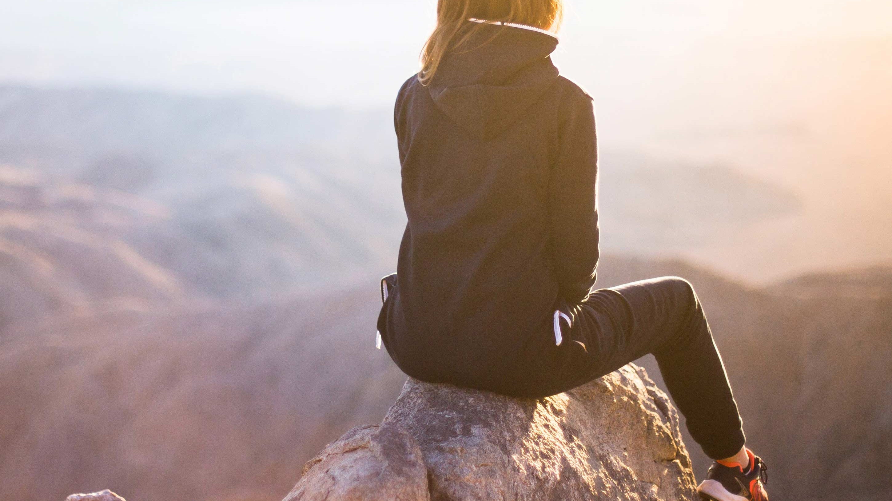 The Pillars of Wellness