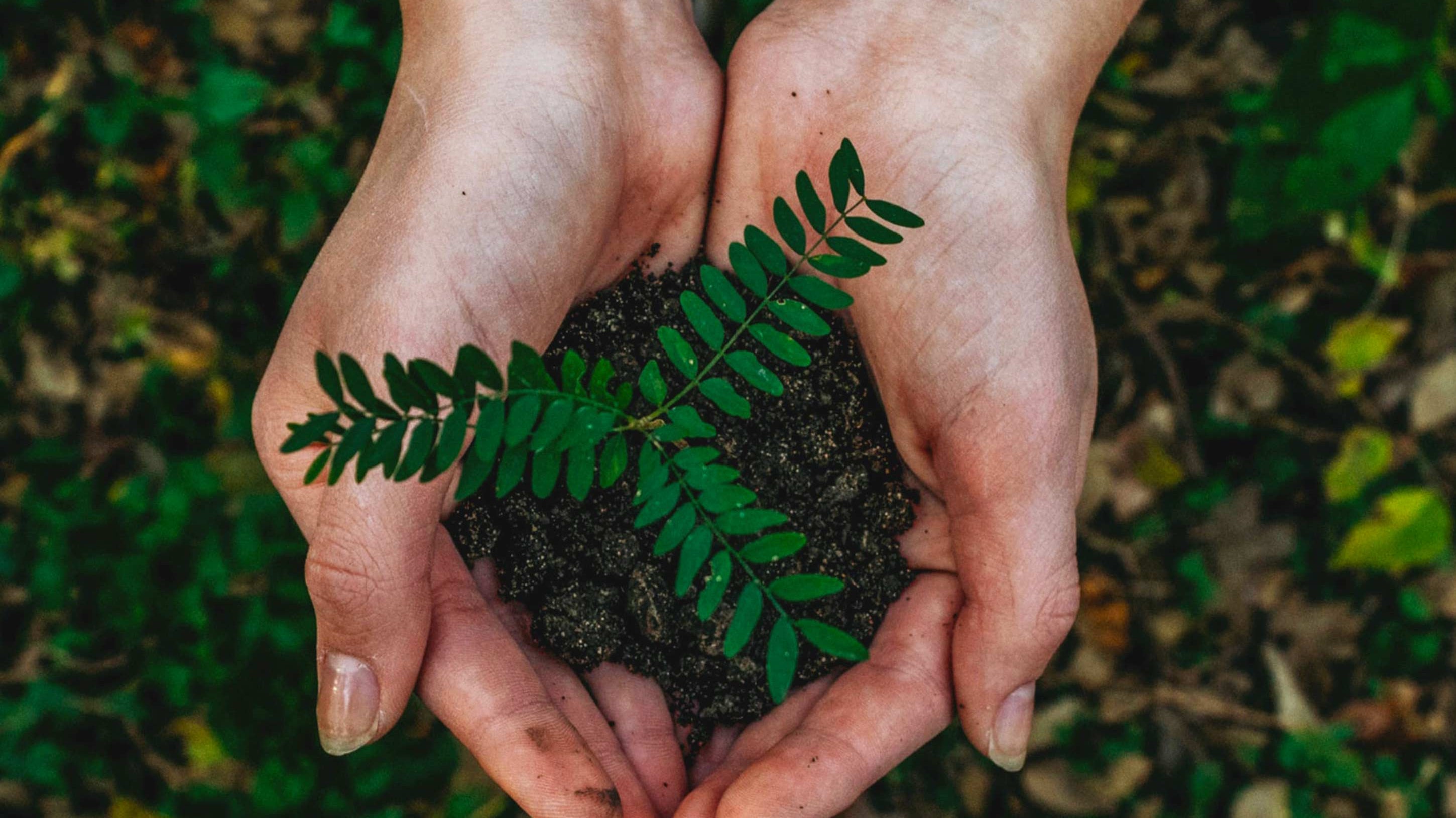 WORLD EARTH DAY 2021