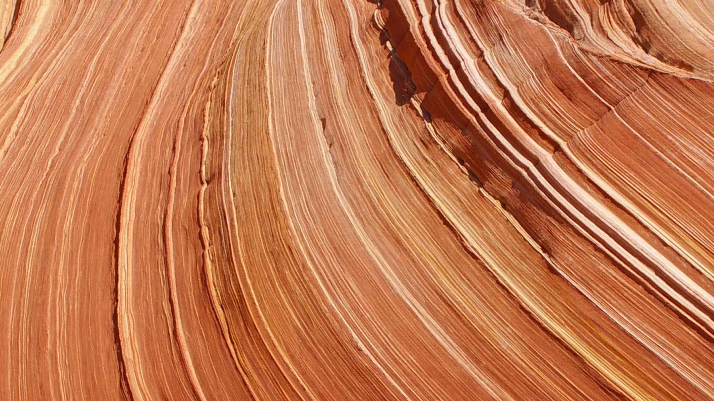 Begin a Journey. Observe, Learn, Grow, and Love.