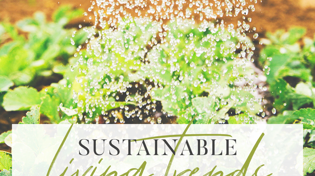 Sustainable living trends to follow in 2019