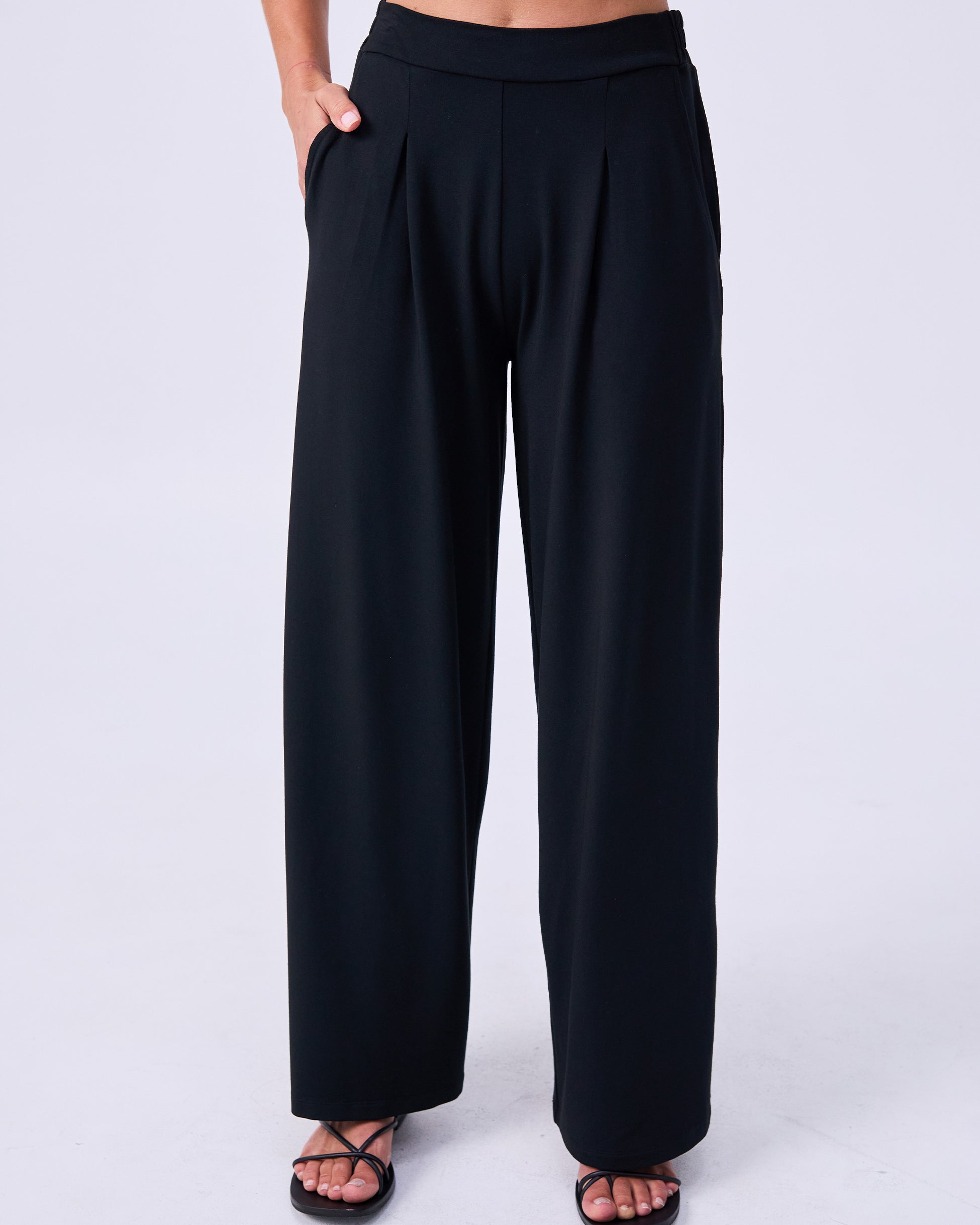 Pleat Front Wide Leg Pants - Black