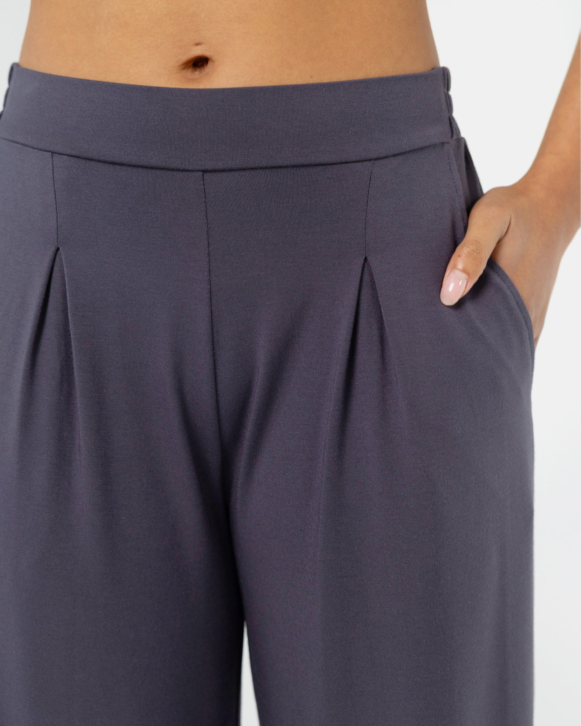 Pleat Front Wide Leg Pants - Charcoal