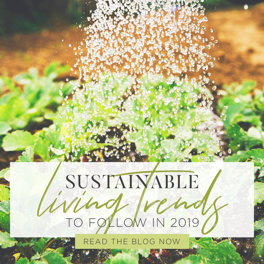 Sustainable living trends to follow in 2019